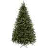 9'x65"D KINGSTON SPRUCE TREE