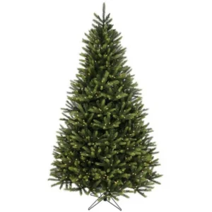 7.5'x53"D KINGSTON SPRUCE TREE
