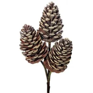 12" NATURAL PINE CONE PICK