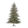 7.5'x62"D NORTHERN NOBLE SNOW-TIPPED TREE