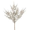 14" CHAMPAGNE JUNIPER SPRAY