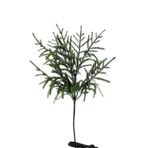 24" NORFOLK PINE SPRAY