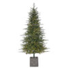 7'x44"D POTTED FIELDSTONE SPRUCE