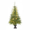 6'x36"D POTTED NORFOLK PINE TREE