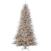 12'x71"D FALKLAND FROSTED SPRUCE TREE