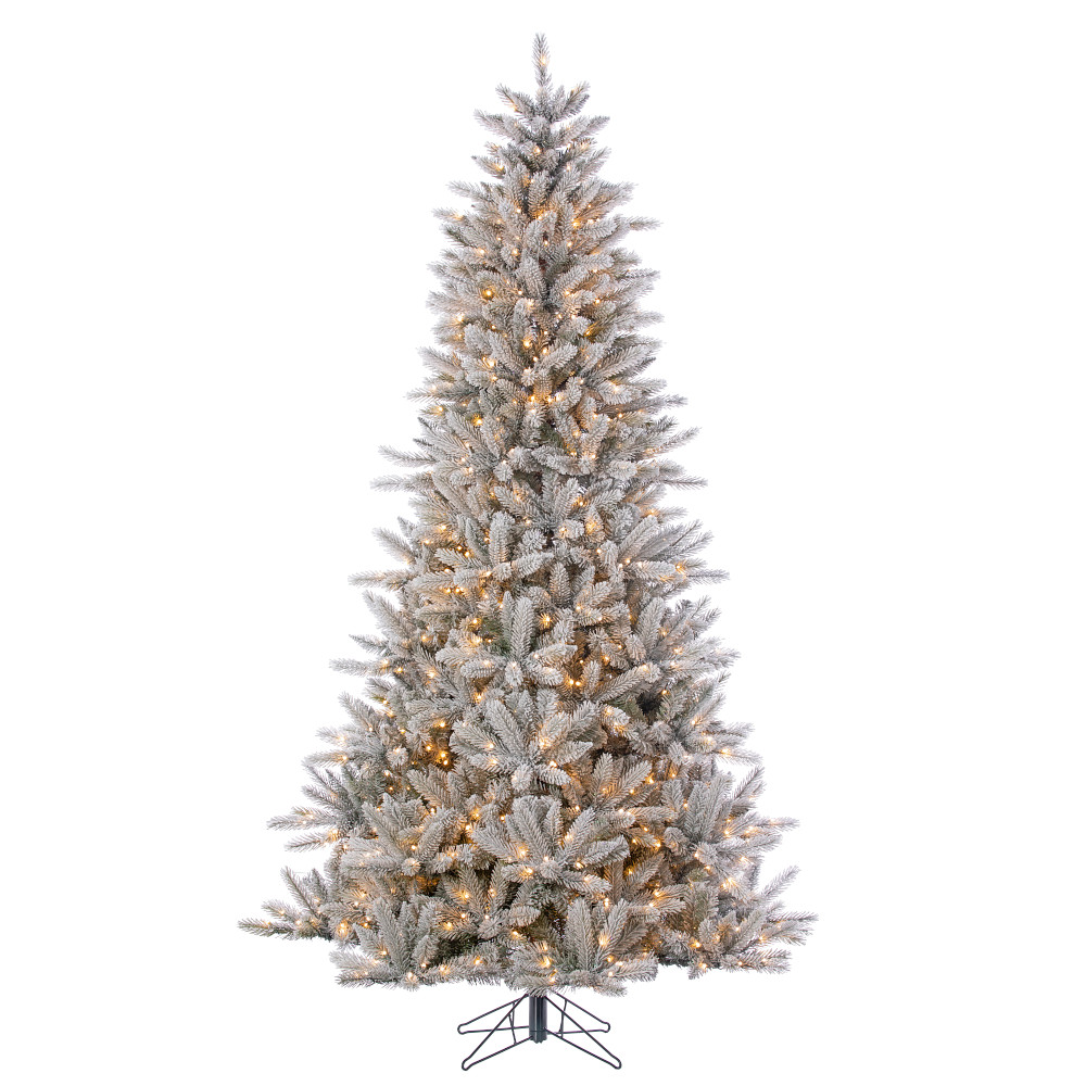 12'x71"D FALKLAND FROSTED SPRUCE TREE