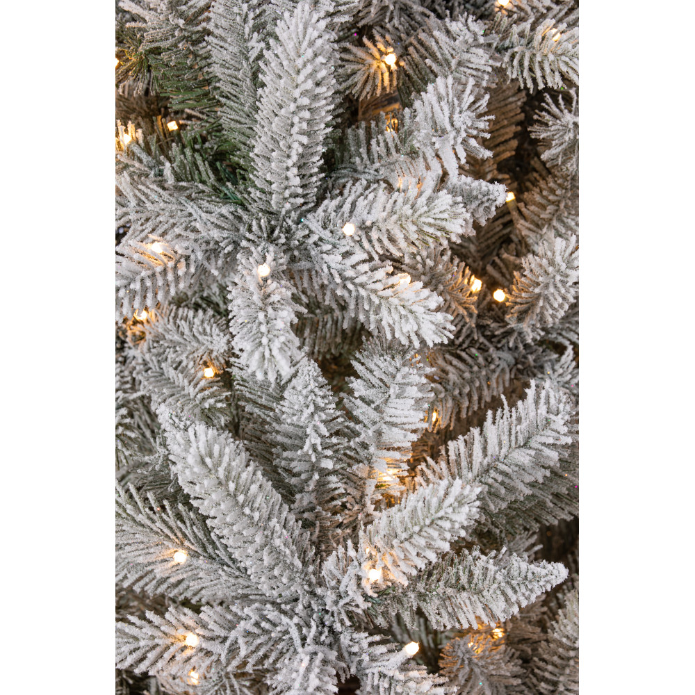 7 FALKLAND FROST CL CLS