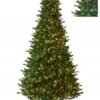 9'x60"D PROPSECT PINE TREE