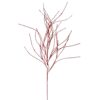 45" CRANBERRY ICED WILLOW SPRAY